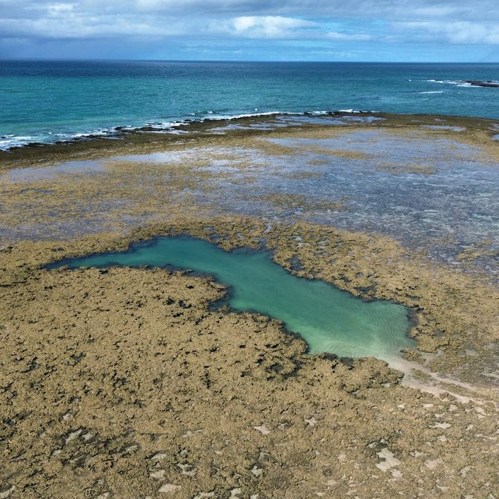 Passeios em milagres Alagoas