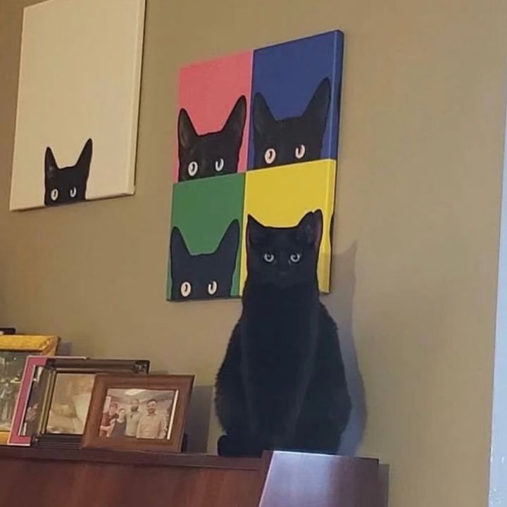 Lala