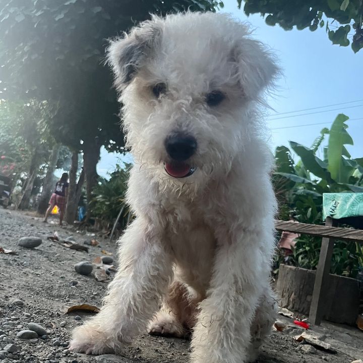 kisy🧿