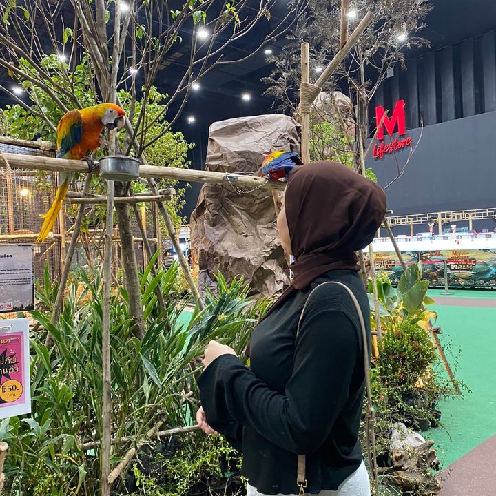 Fatinn shsop 🧺💗🫧✨