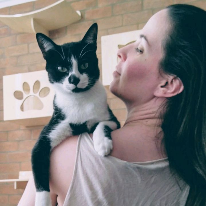 Carolina Pets