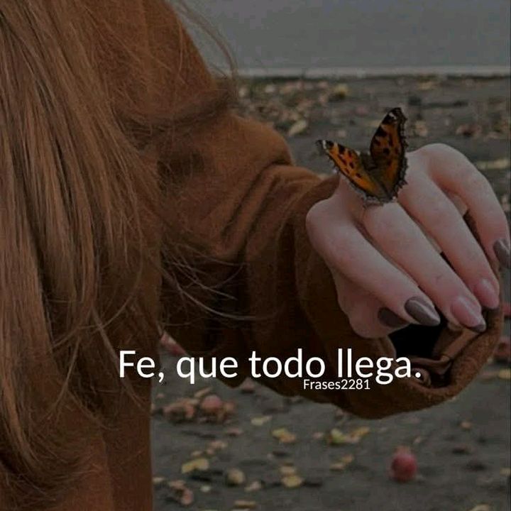 sofiapinto