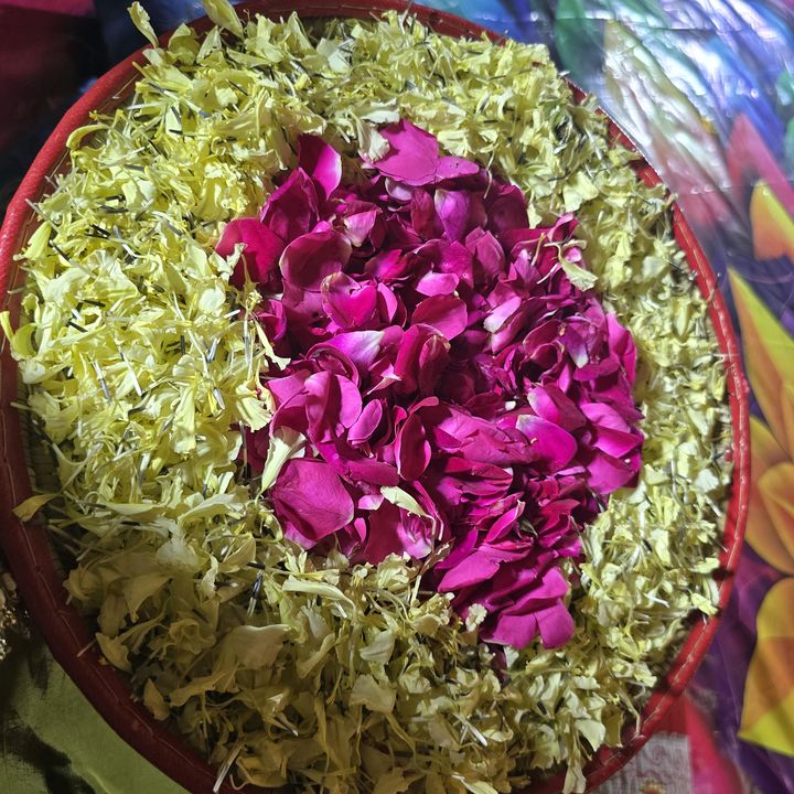 Pari khan