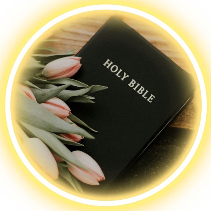 Daily Bible Readings⭐️