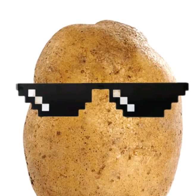 the cooler potato