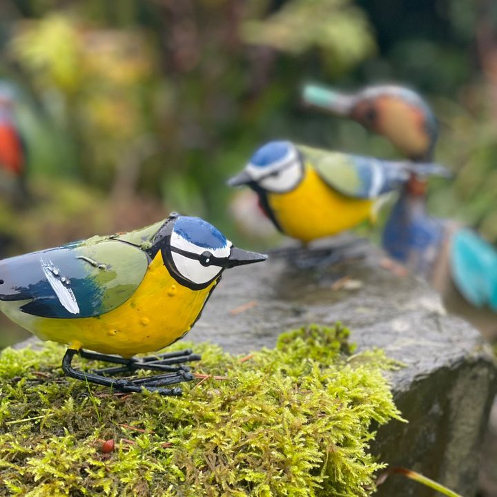 Bird Feeder 🐦⬛