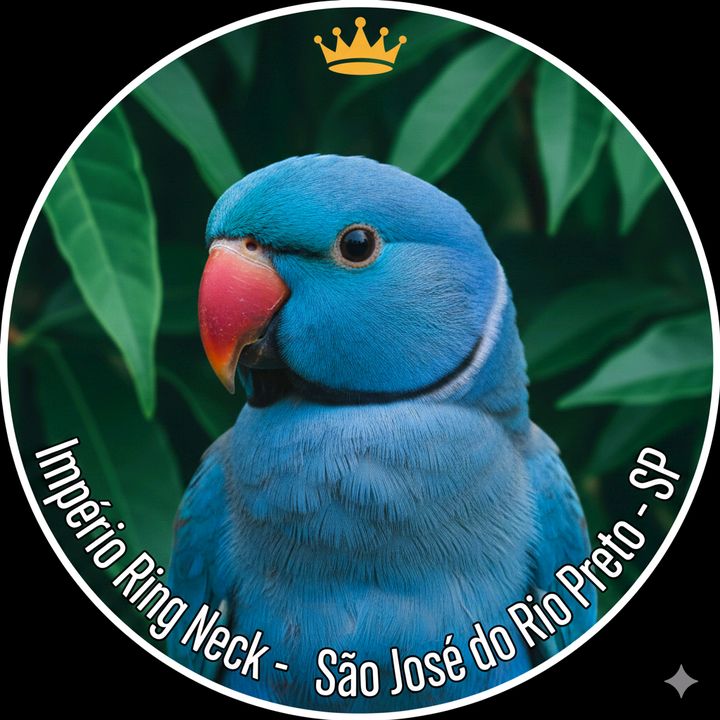 Ring Necks em Rio Preto