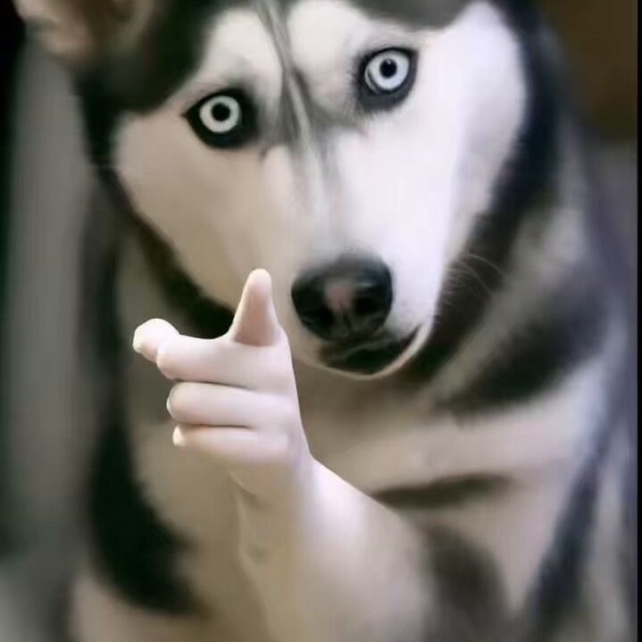 𝘡𝘦𝘳𝘳𝘢