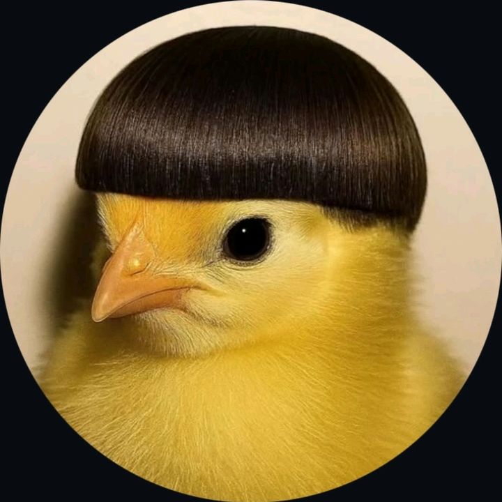 RugiKaloSkip
