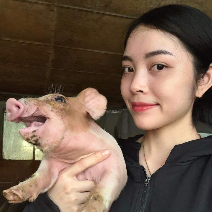 Hiền Anh chăn nuôi 🐷