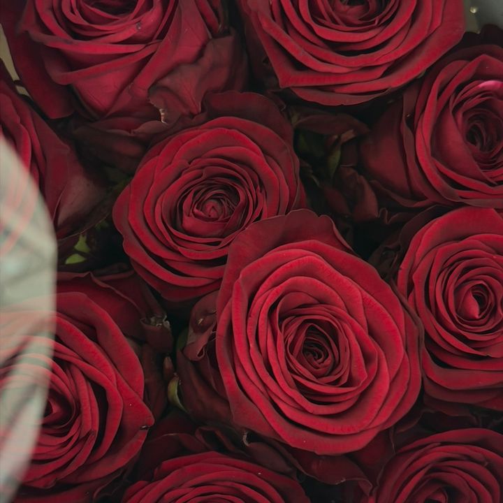 مايا 🎀