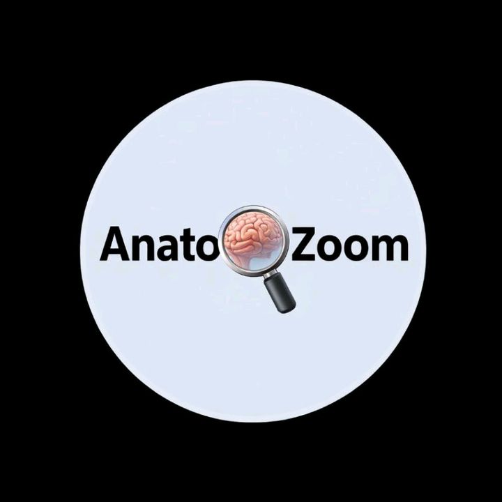 AnatoZoom