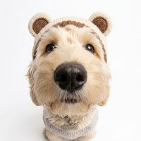 Hellococodoodle