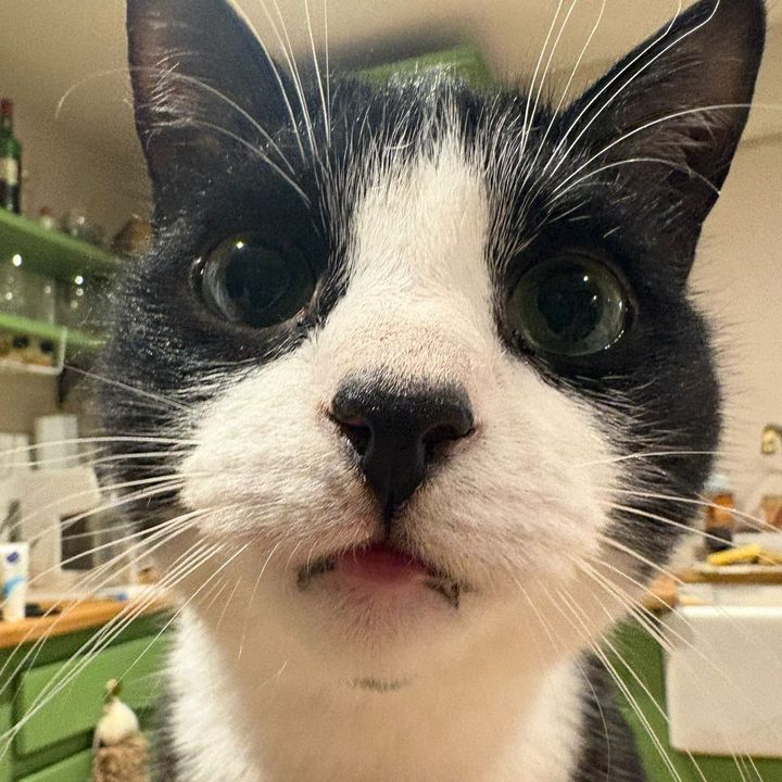 billy_heartnose