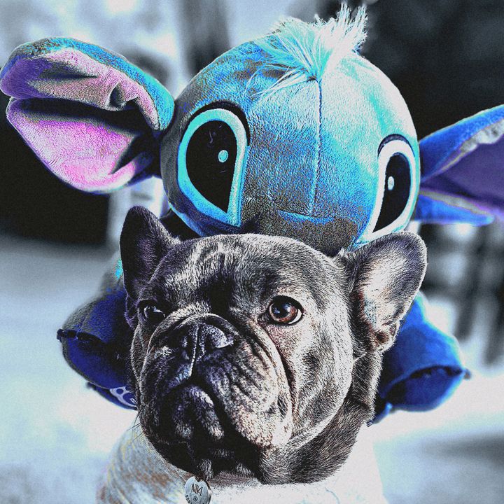 NikiThefrenchie