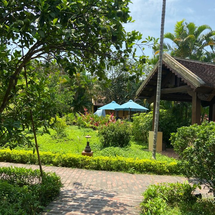 Shop Duy Anh Nguyễn