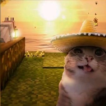 Catthor