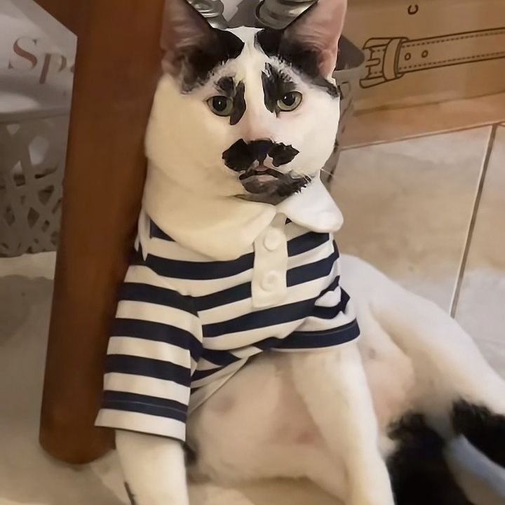 GabutnyaCC