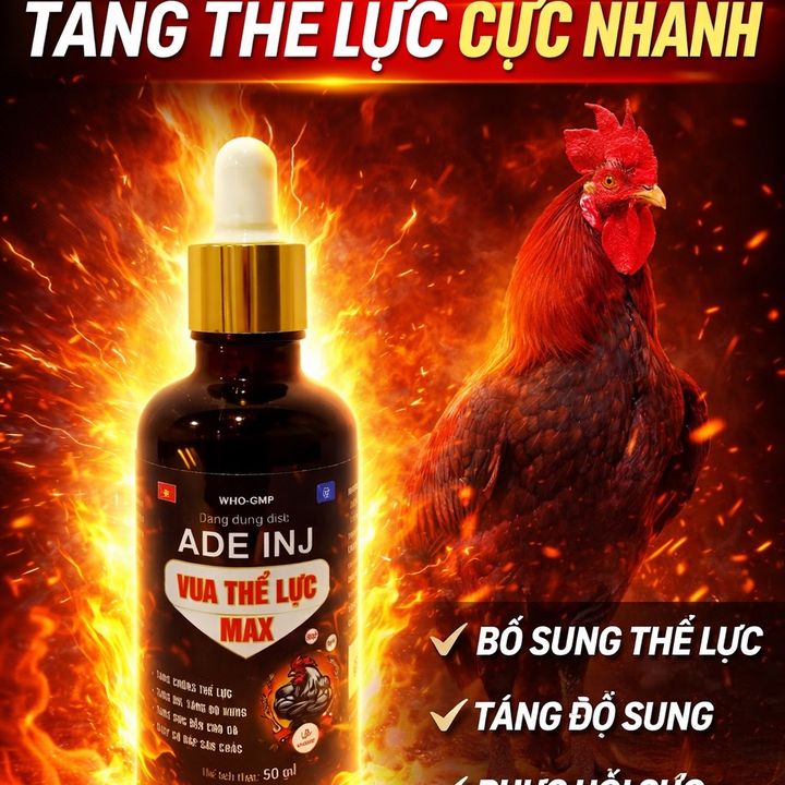 Shop chăn nuôi 32