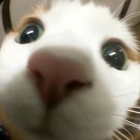vjgfjd0