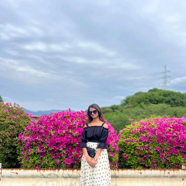 सुचना🌸