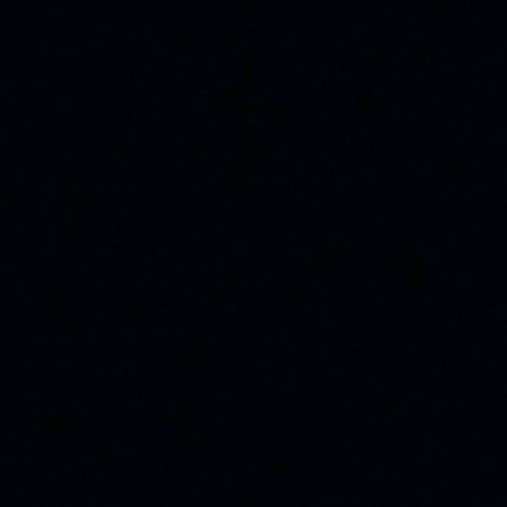 wong_jowo