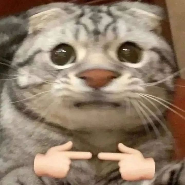 ขอเดบิวต์เป็นหัวแถวตามพี่ๆ