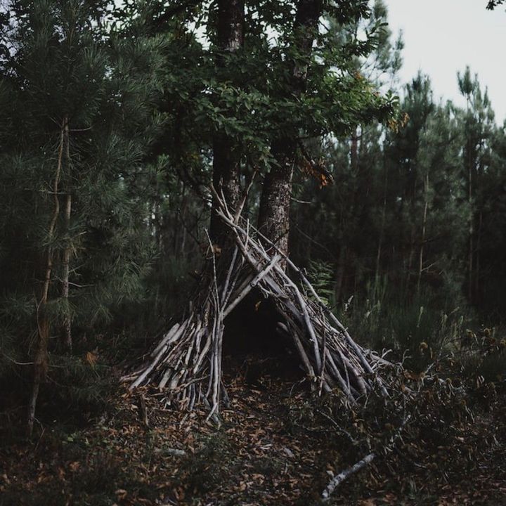 Bushcraft Skills 🪓