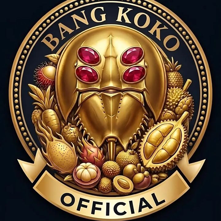 B KOKO
