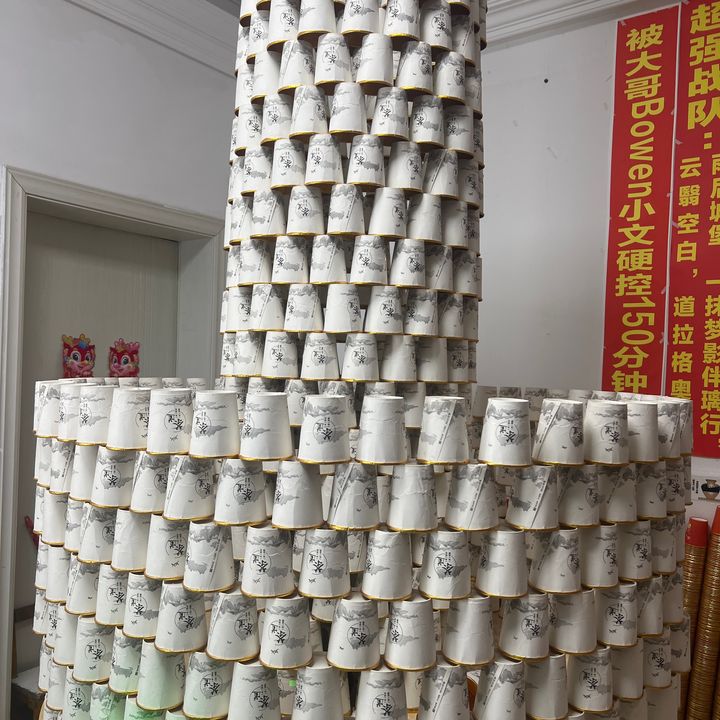 zhang lei