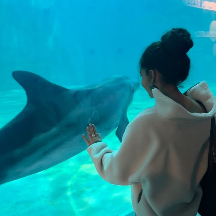 ray