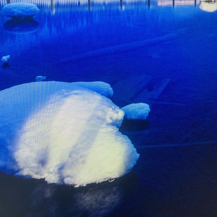 Big-goose