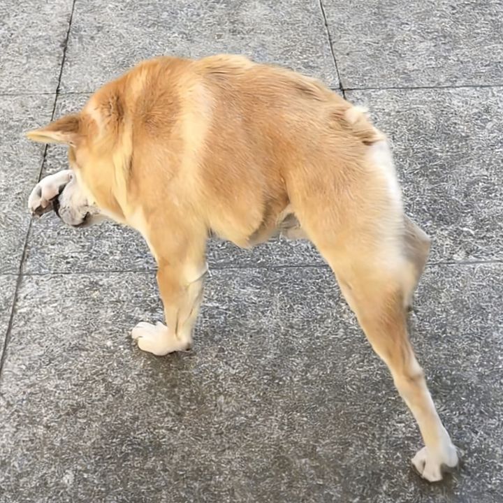 清隅。