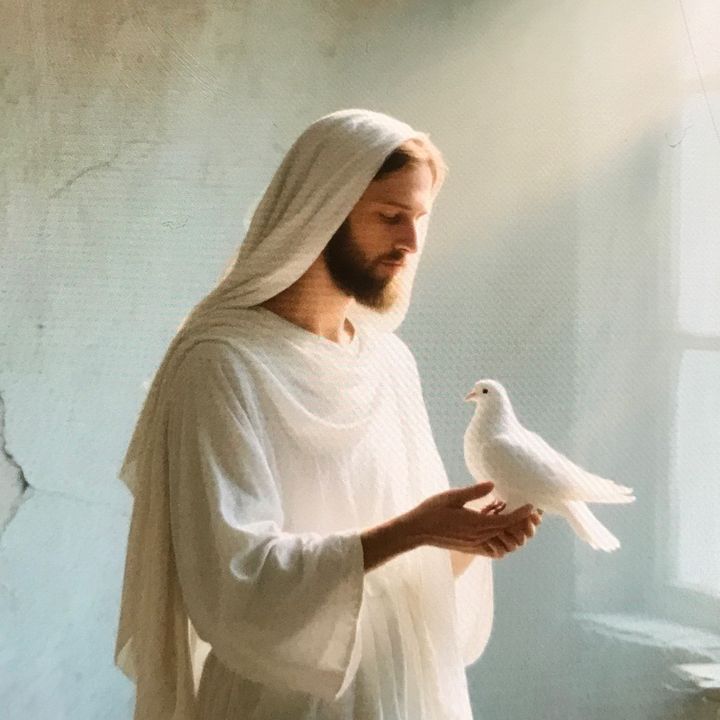fyj6wi1as7