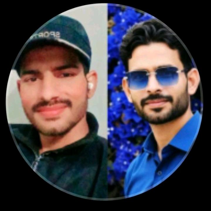 malik Shakeel 231m