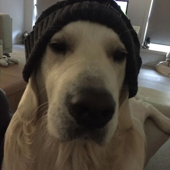 ywnlw4lxy4