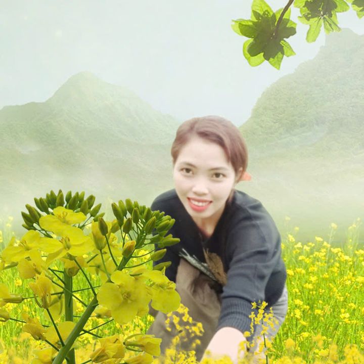 Tú Gia Dụng