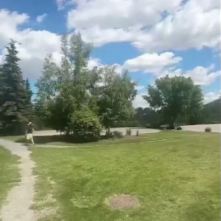 DIYHomeBabe