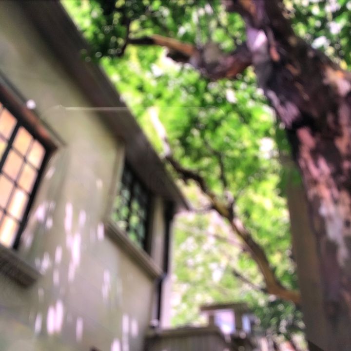 tonyhall011