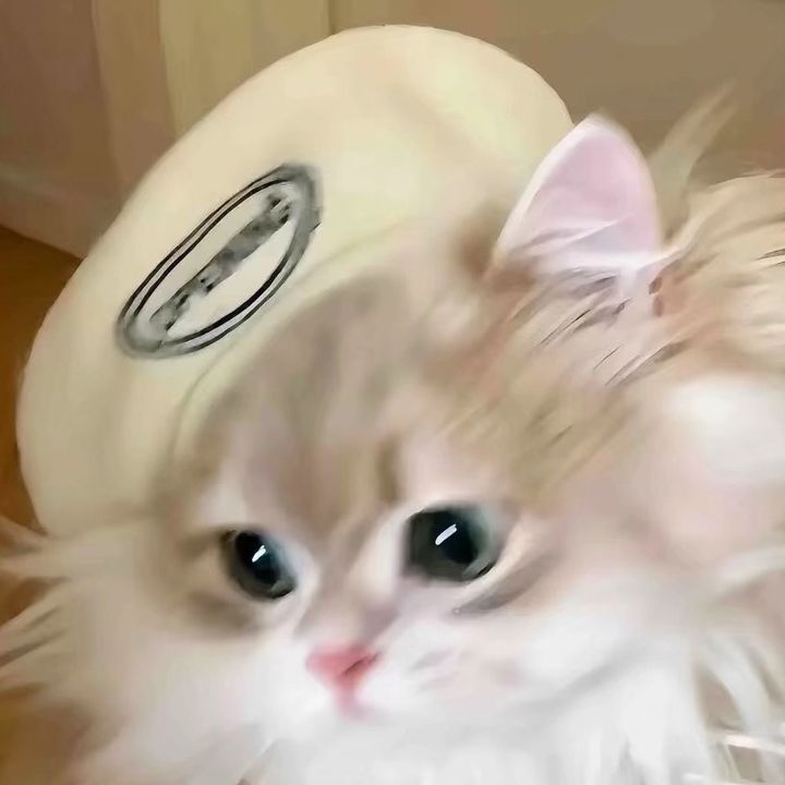 jhfrst