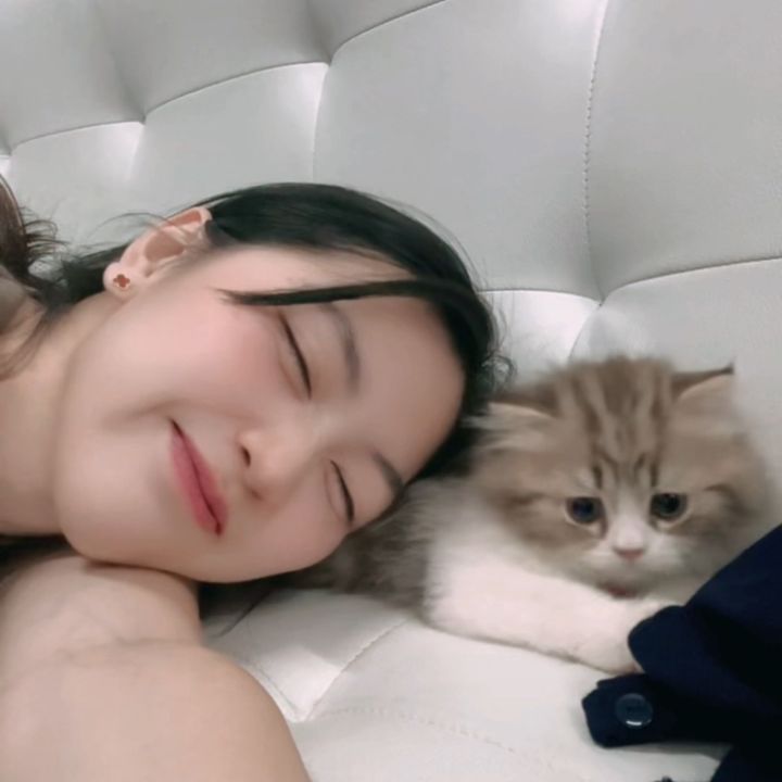 กุ๊กกิ๊ก กุ๊กกุ๋ย