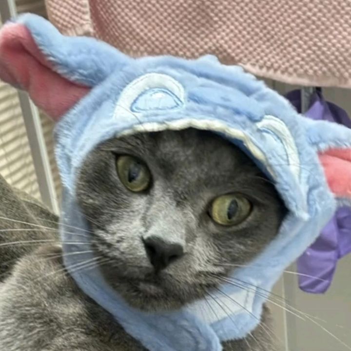 DoctorDonita