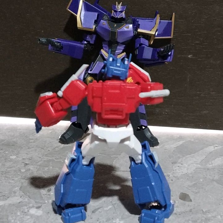 collector megatronus optimus