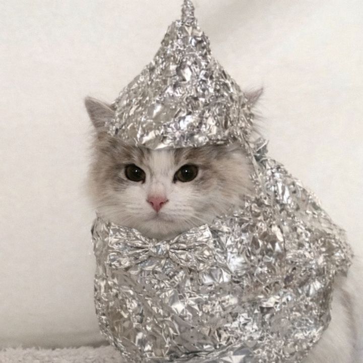 ConspiracyCat