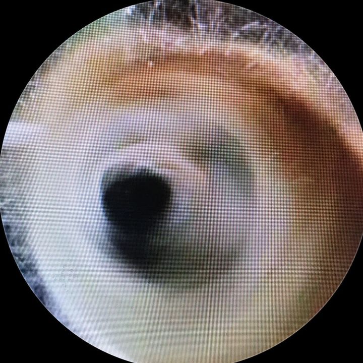 alejandrobrett023