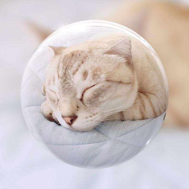 うさぎ