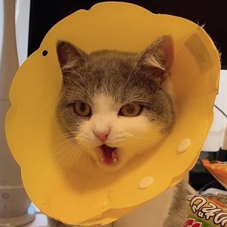まるちゃん🤍