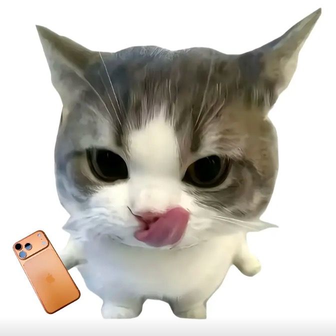 zzgcy5