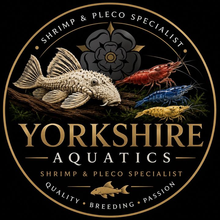 yorkshire aquatics
