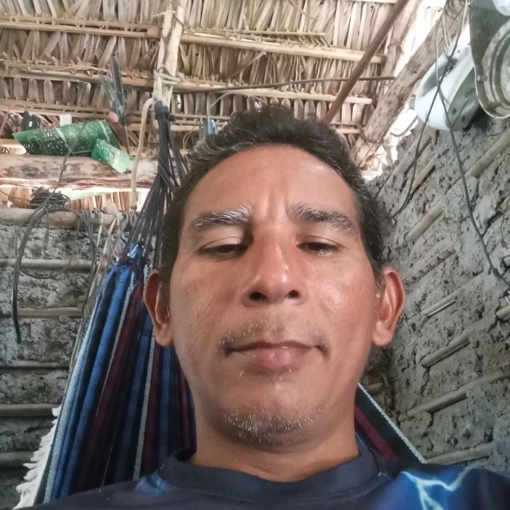 franci ferramentas